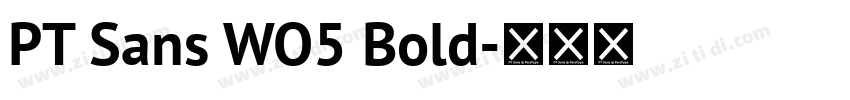 PT Sans WO5 Bold字体转换